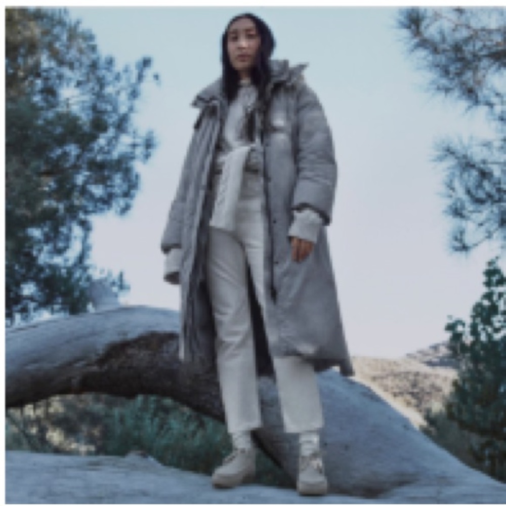 Everlane Duvet Puffer Jacket